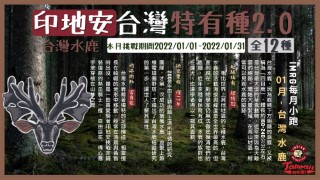  [ 每月小跑 ] 2022 印地安台灣特有種2.0 - 1月主題台灣水鹿